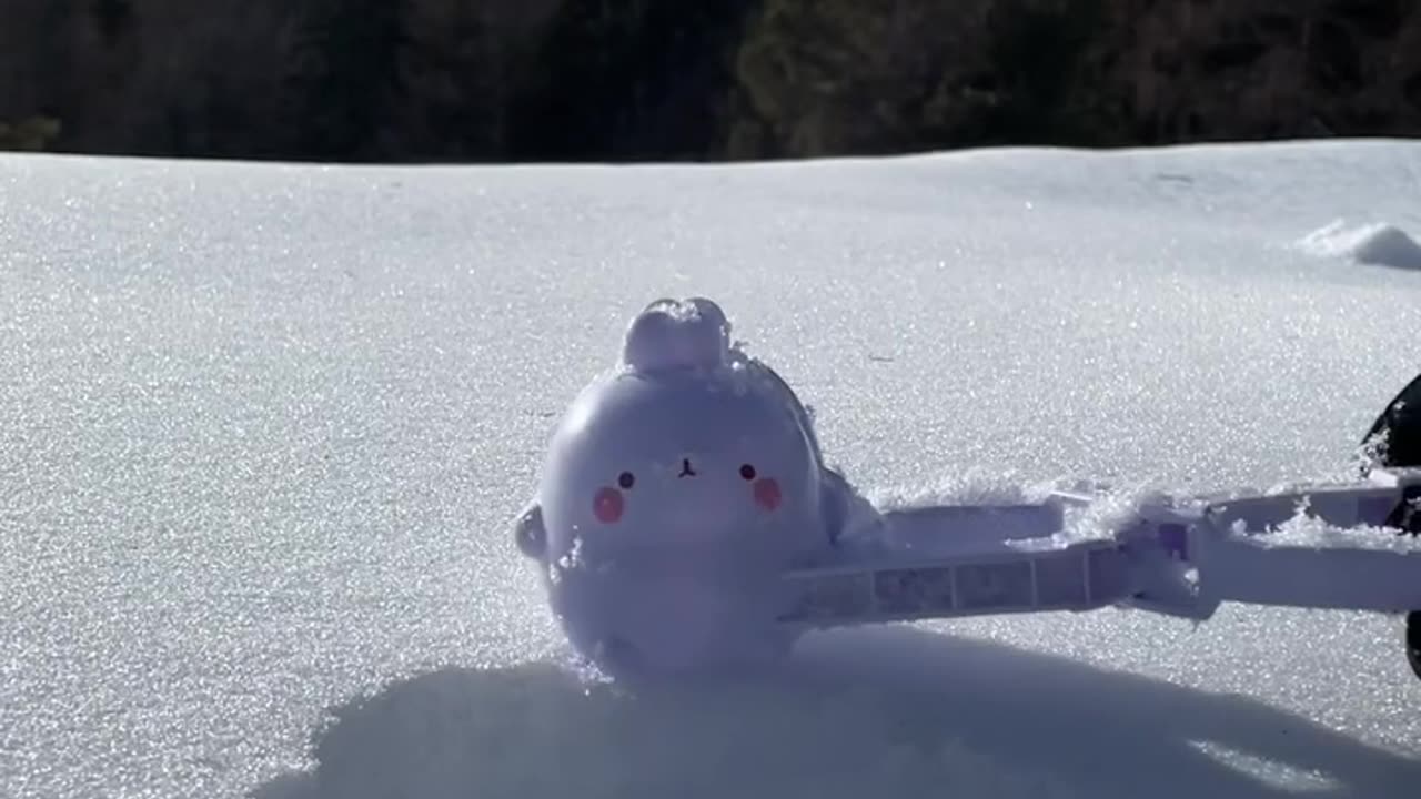 Most Perfect Snowball In The World