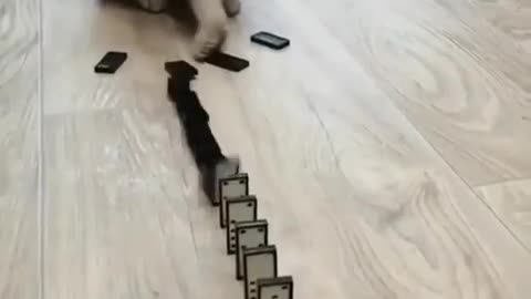 Bamboozled