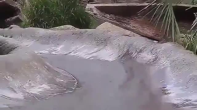 Otters Weekend... funny