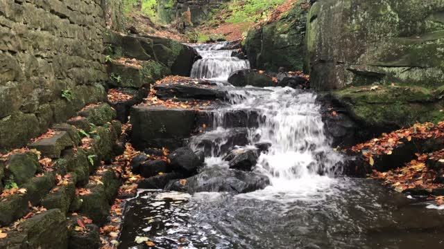 Look at the flowing water, it's so relaxing