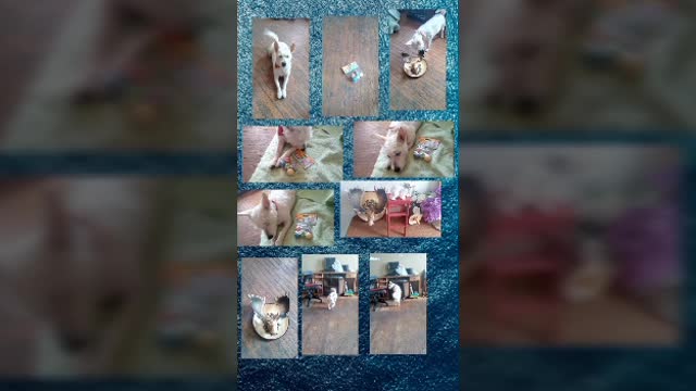 today video