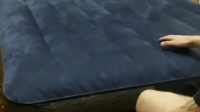 Kitten on an inflatable mattress