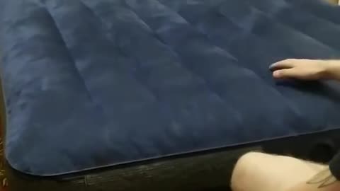 Kitten on an inflatable mattress