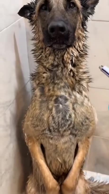 My good Boy ❤️😍