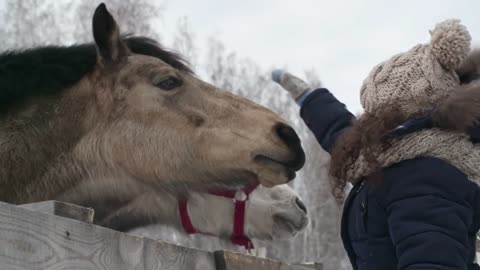 Beautiful moment of animels ! Animels lovers!