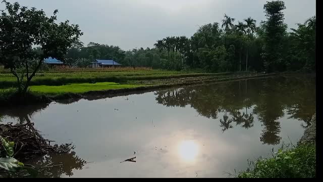 Flowing with a nature daily life in nepal