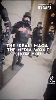 Politics - 2020 White House Insurrection Video