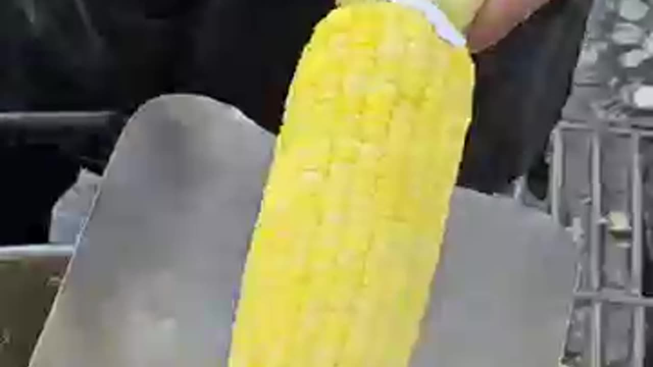 So good! Amazing Corn Fruit Cutting Skills!