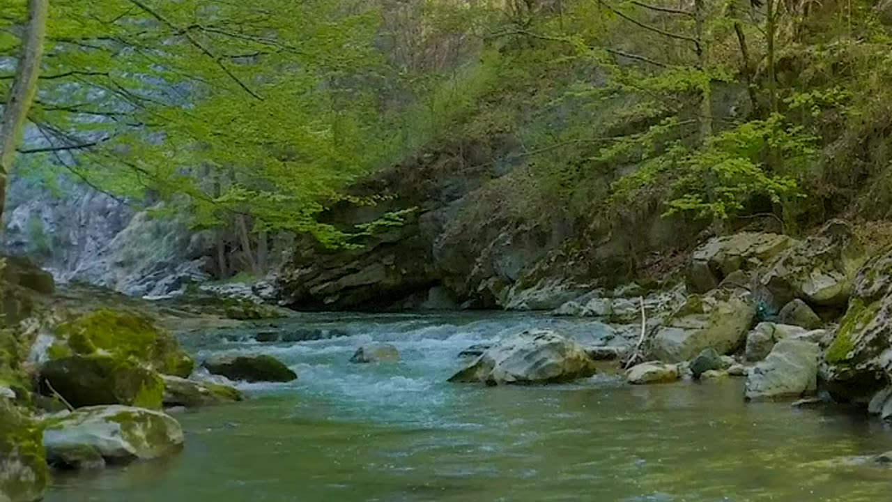 Nature's beautiful view