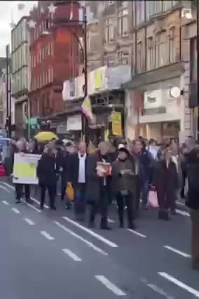 LONDON - megemlékezés az oltáskárosultakról és elhunytakról (2022.11.19.)