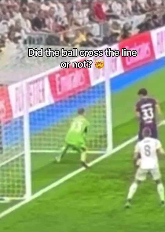 What do you think based on these images?