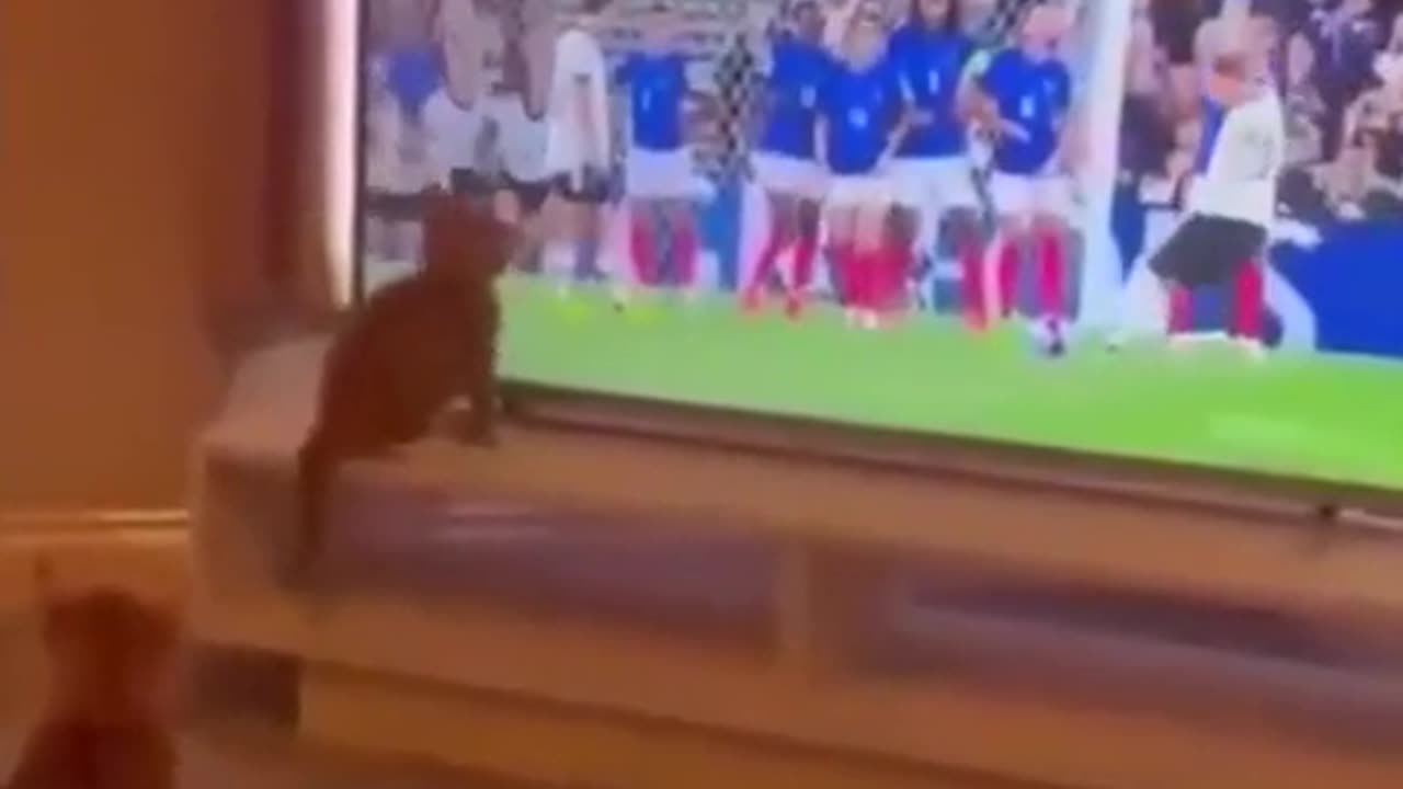 He tried to catch him.