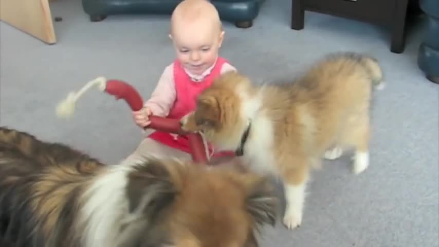 child’s best friend is a puppy.