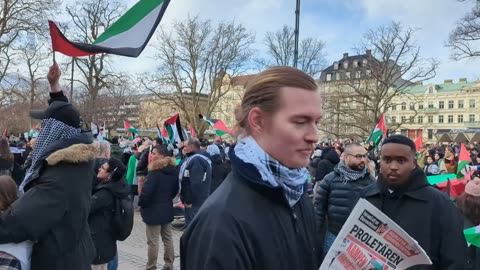 Palestina-protest i Malmö