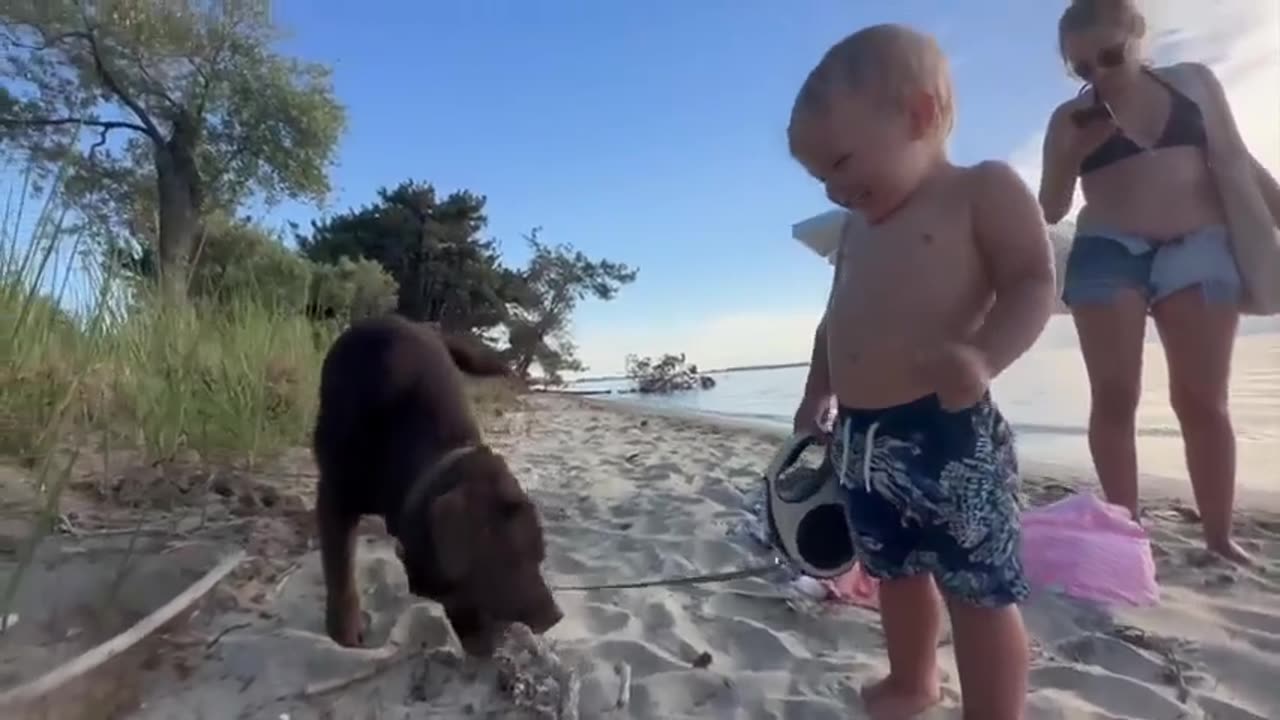 Baby & Pet Dog Walking on Sea Beach