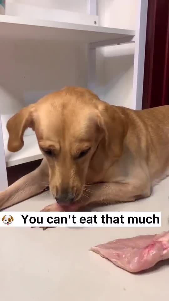 My sister is smaller than me, so l'll let her eat first