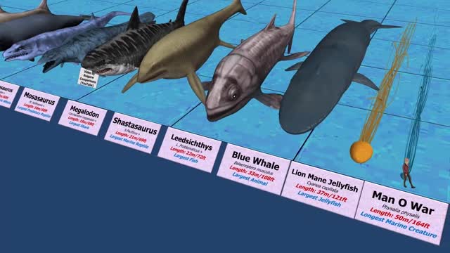 Sea Monsters Size Comparison.