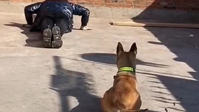 Dog and owner exercising