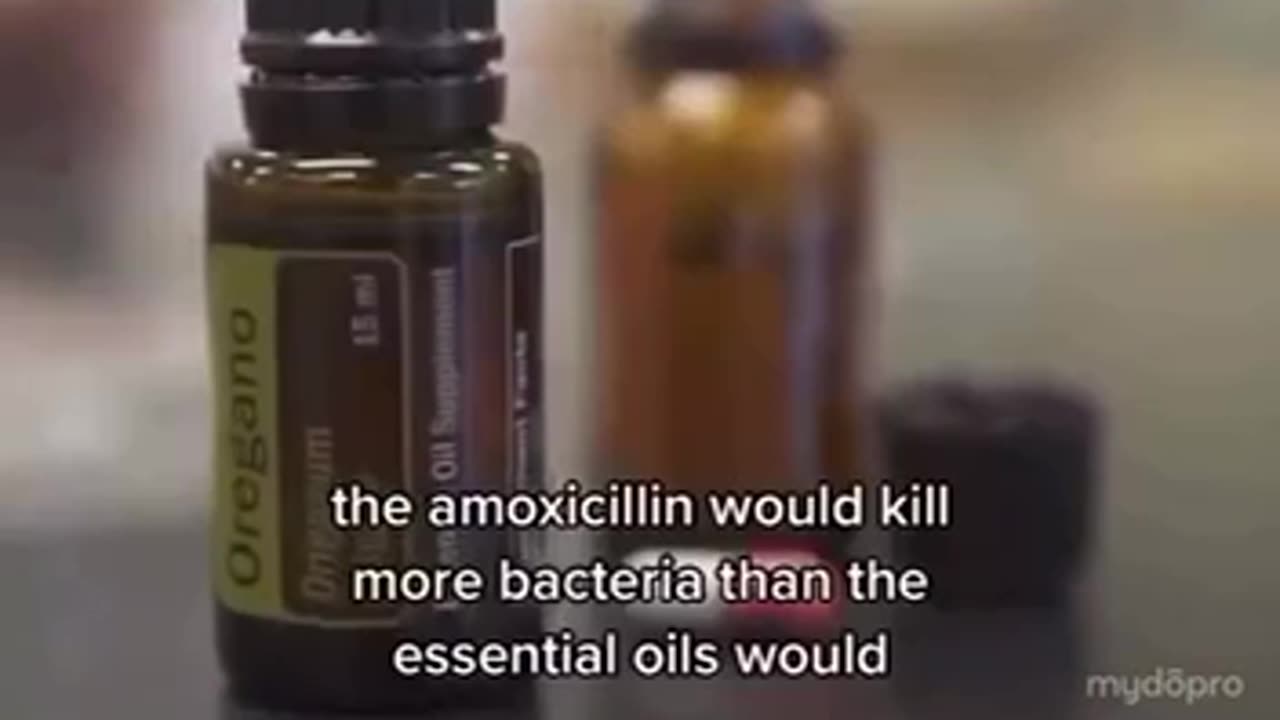 Oregano oil vs antibiotic