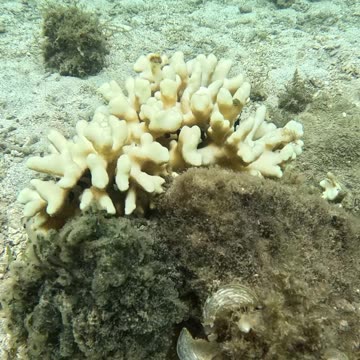 Check out these cute little fish!!