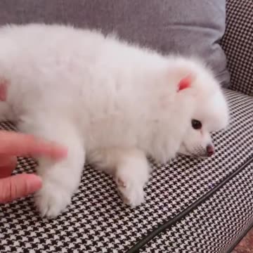 gC8ZJMwm6ab4nD2hbYmDdC