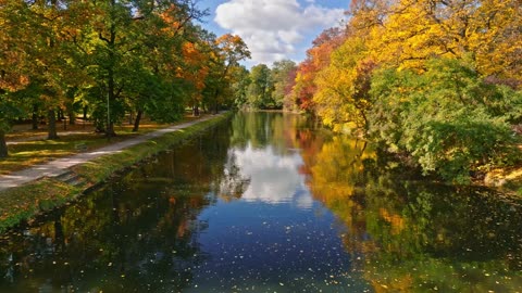 Pretty Autumn Video - with Soothing Music