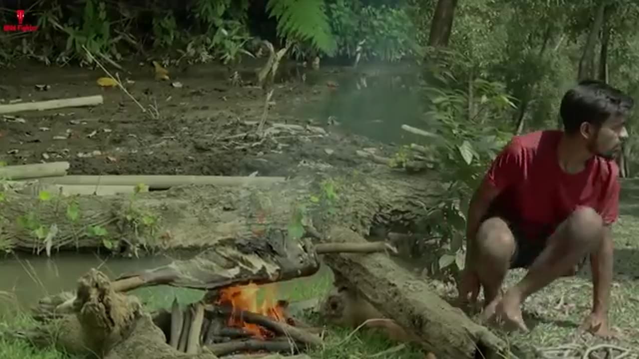 Crocodile Attack Girl in Water