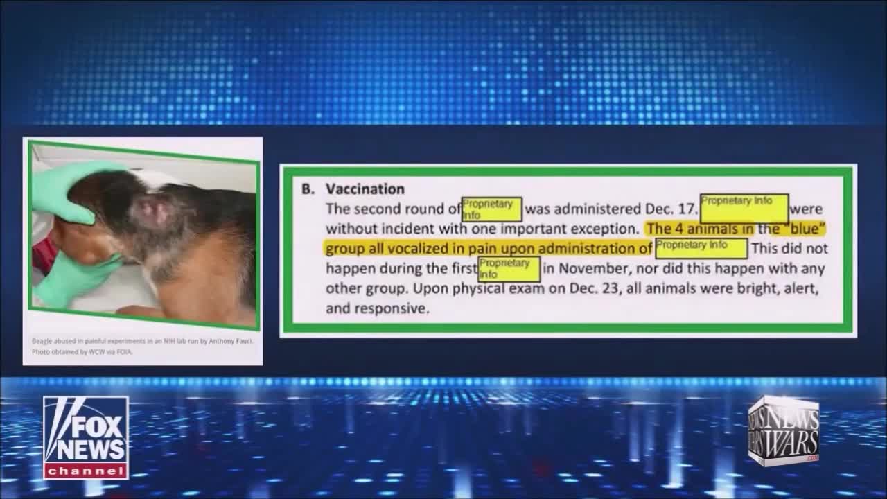 Kovidové ovce pod stanným právom