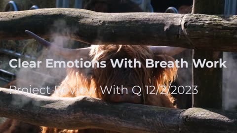 Clear Emotions With Breath Work 12/2/2023