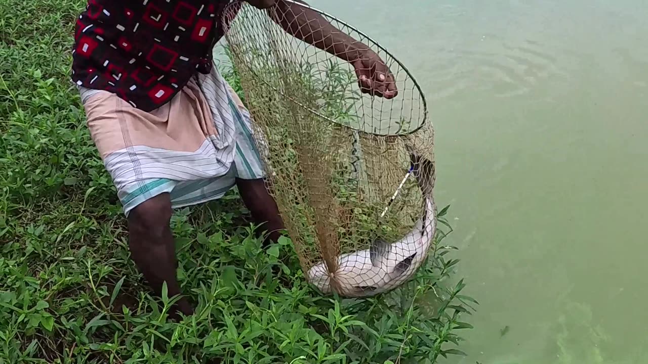 #fishcatching