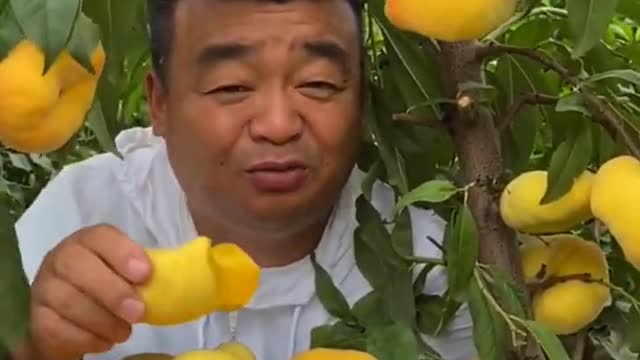 Presentation​​ fruit​, Farm Fresh Ninja Fruit, Presentation​​ China fruit ep 002