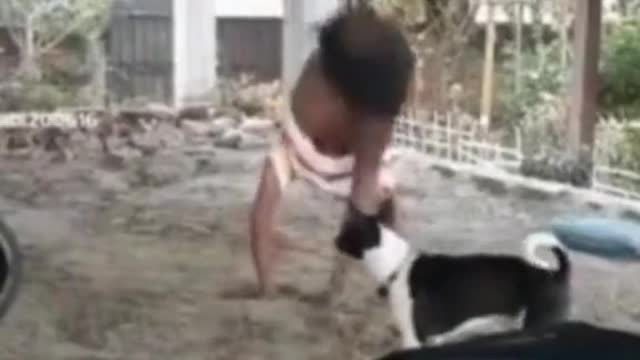 learn to backflip the dog becomes a target