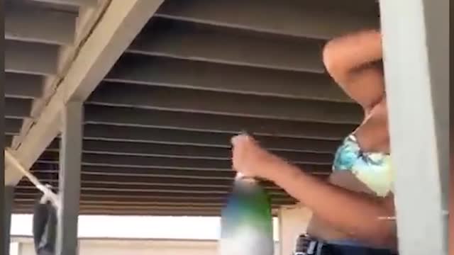 funny cat video,funny cats,cat,funny cat,funny cat memes