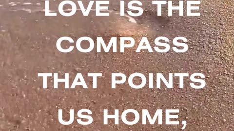 love is the compass that points us home.... #shorts