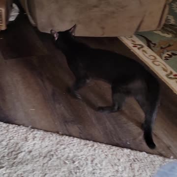 A little more Mille Morning