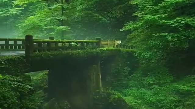Nature is available in worlds