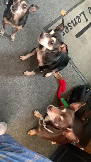 Snack time with the siblings