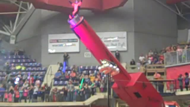 The Human Cannonball