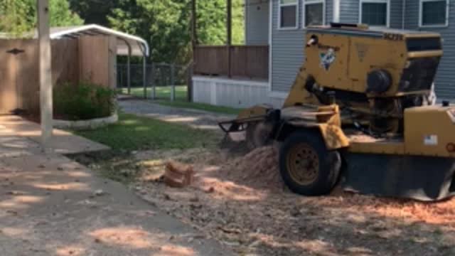 Stump grinding