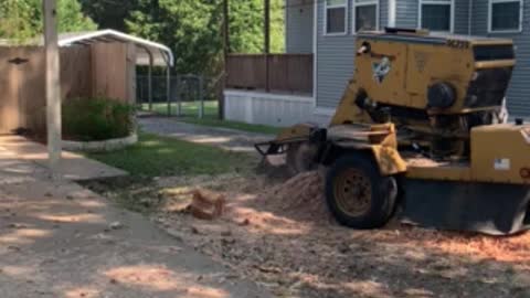 Stump grinding