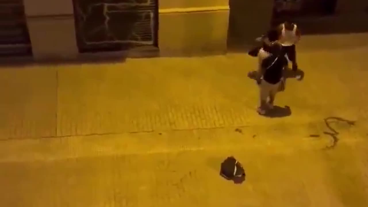 Barcelona is a jungle. We all know why.