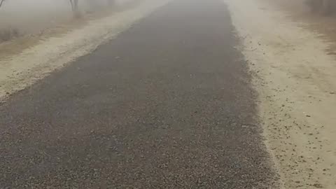 Foggy weather in Pakistan haze in Pakistan