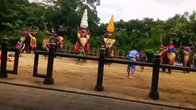 Elephant life in Thailand