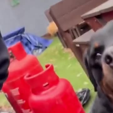 Sacked Jermaine Jenas went viral with bizarre Instagram video about 'securing coin' before he was axed by the BBC