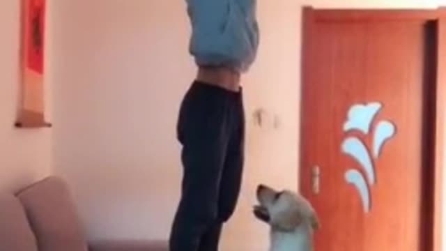 This Brave Dog Was Helping The Owner