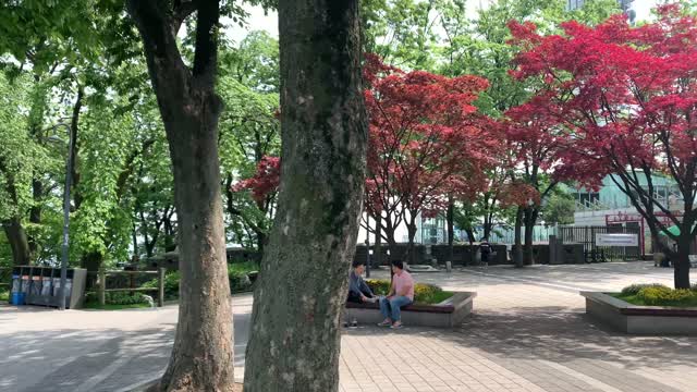 NamSan Tower top in Seoul, Korea