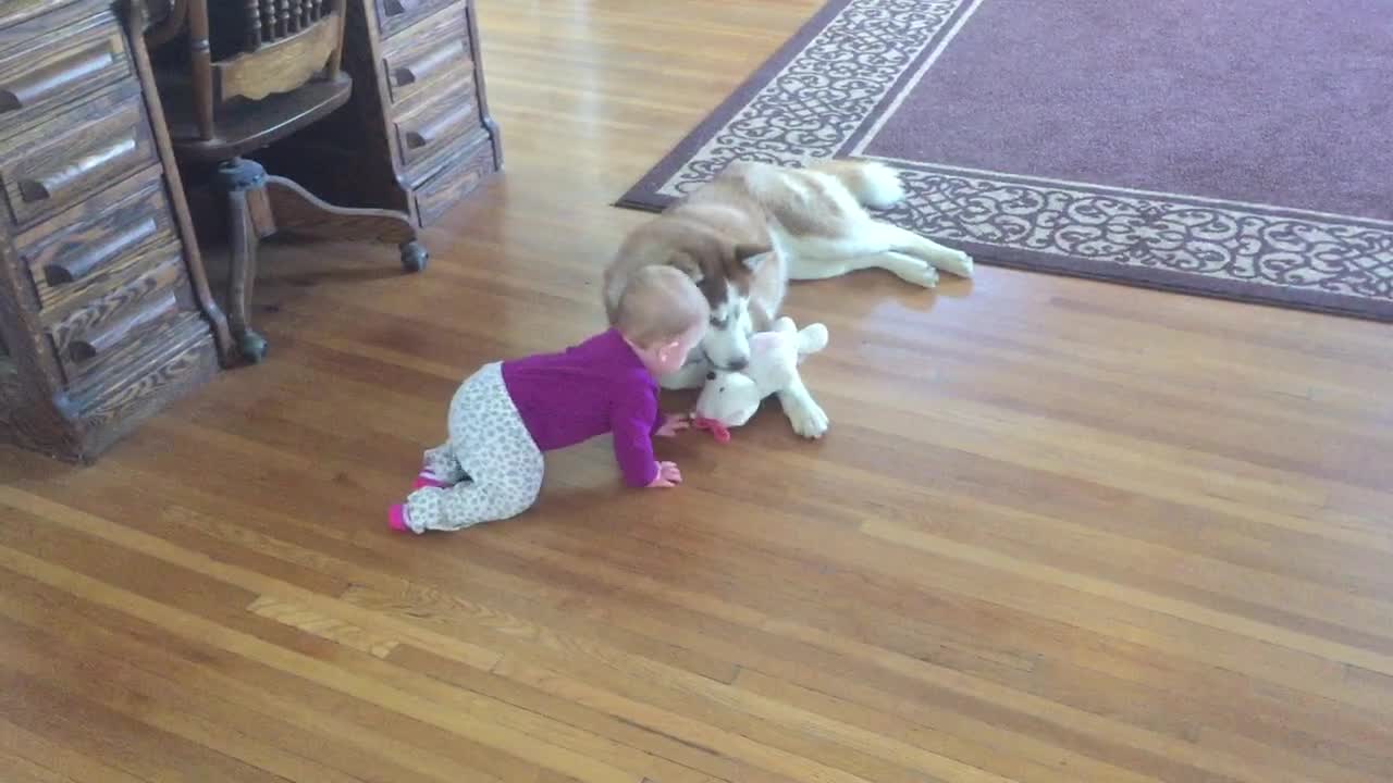 Is this the most adorable tug-of-war game ever?