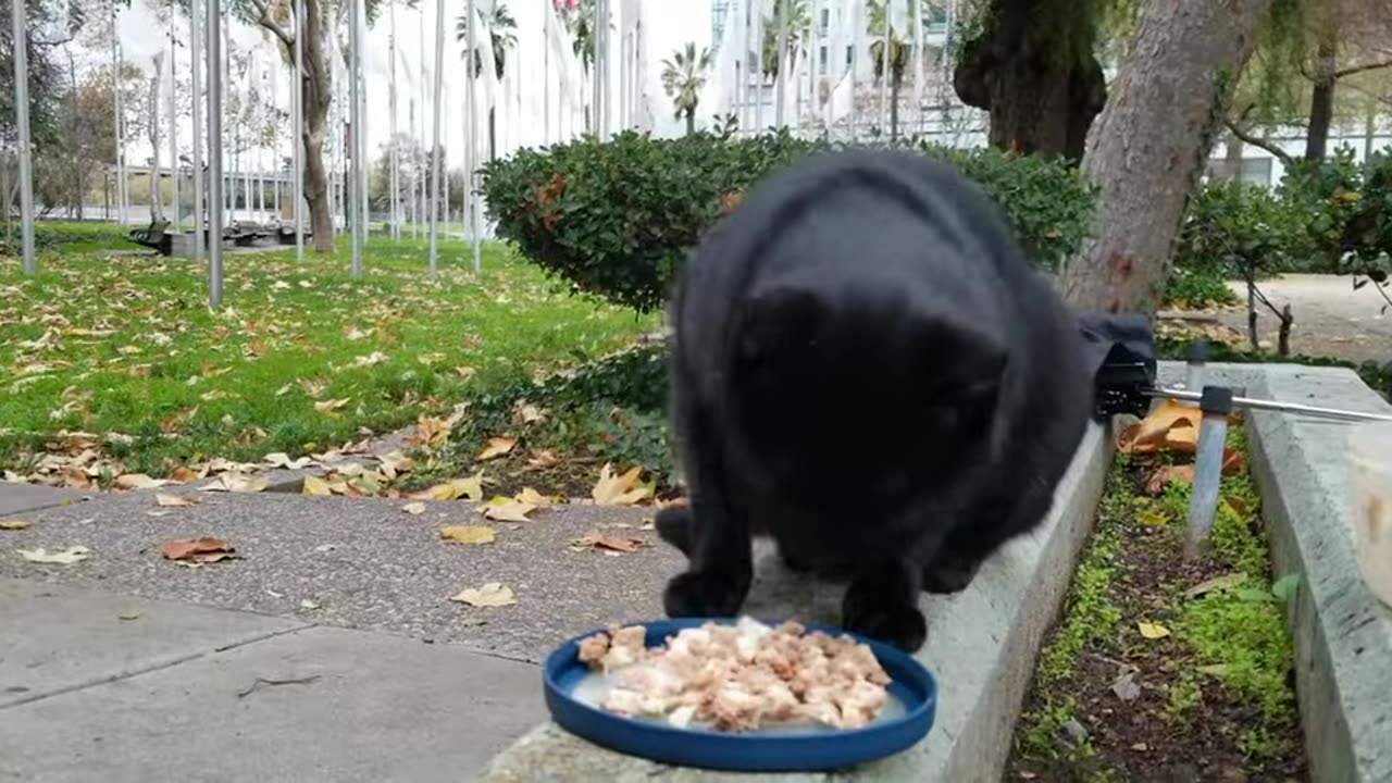 20240121 163845 Tux Eating by Memorial