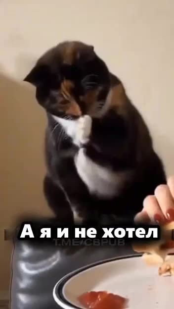 Nice save budd no one noticed