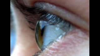 Interesting fact about the human eye